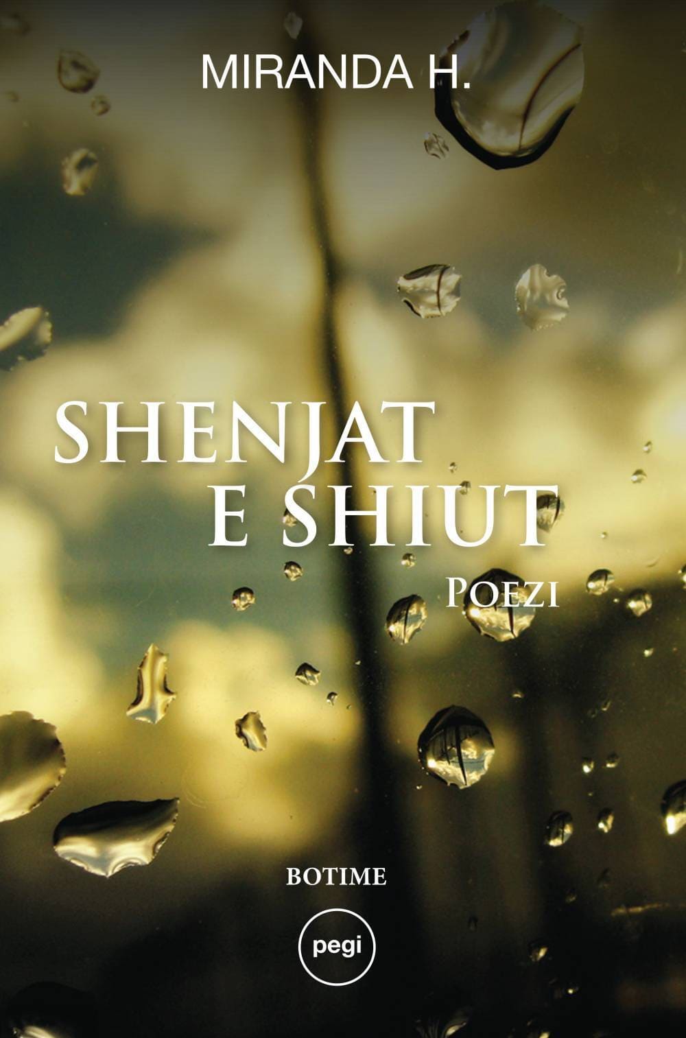 images/book-images/shenjat-e-shiut.jpg